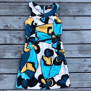 BCBG Paris vintage A-Line dress